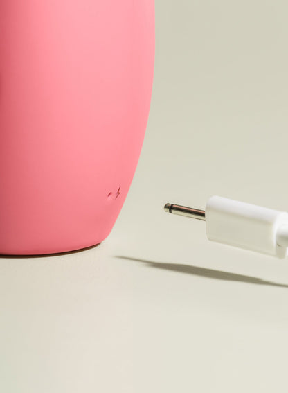 Pink Smile Makers The Artist Massager | Fleur du Mal