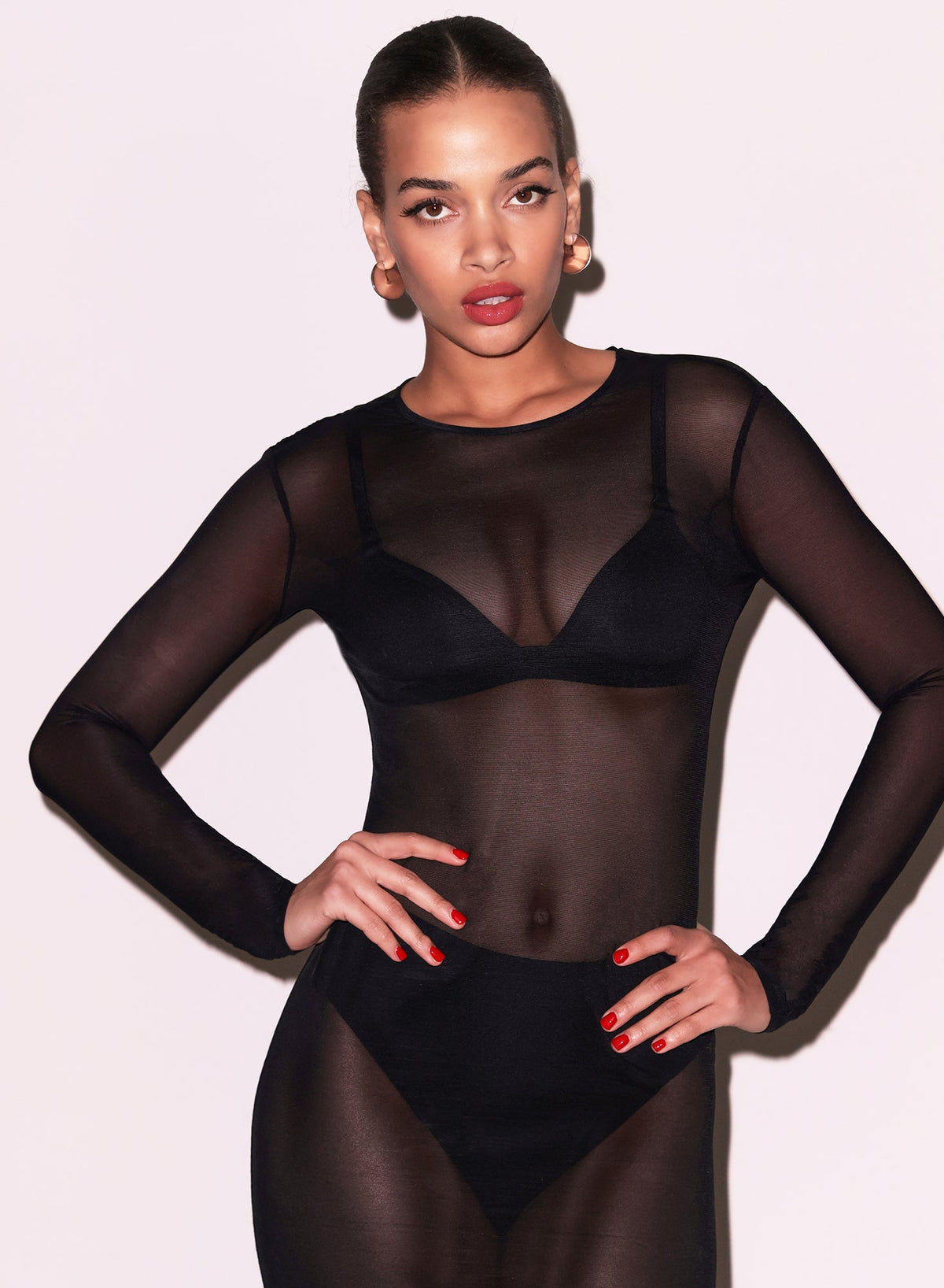 Black Mesh Long Sleeve Midi Dress | Fleur du Mal